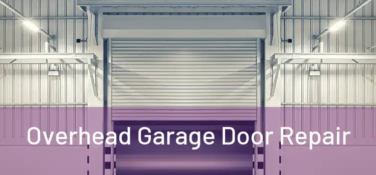  Overhead Garage Door Repair 